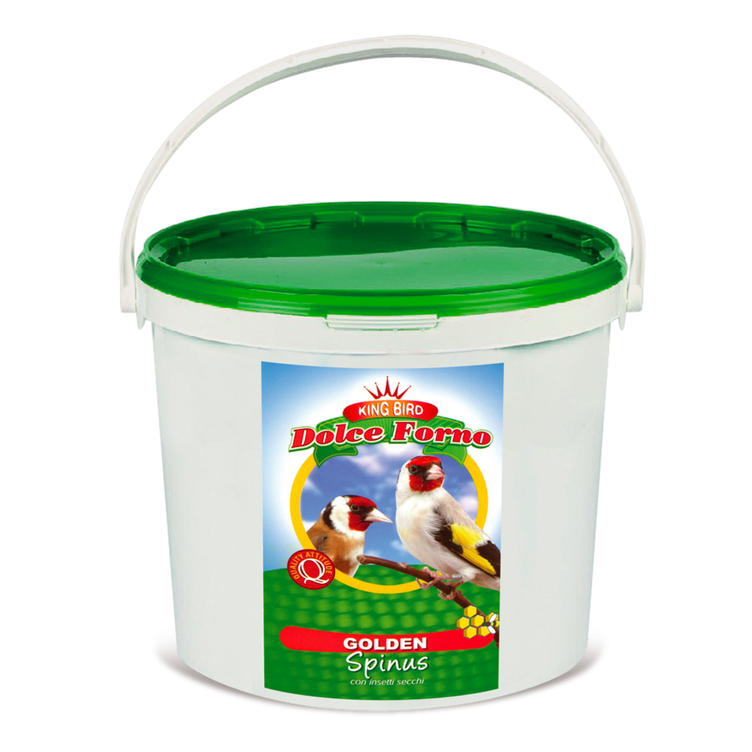 Manitoba KING GOLDEN SPINUS