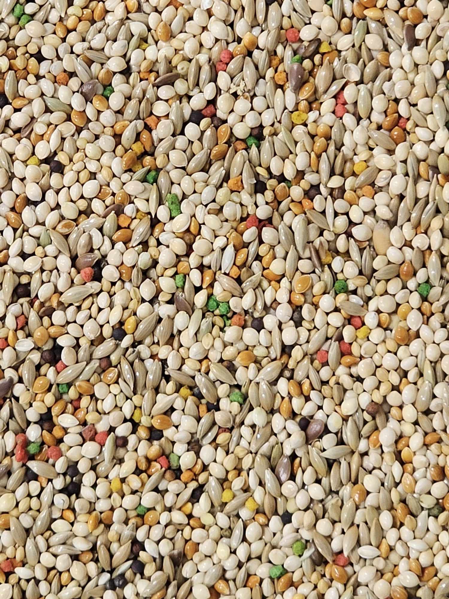 Enriched Finch Seed Mix
