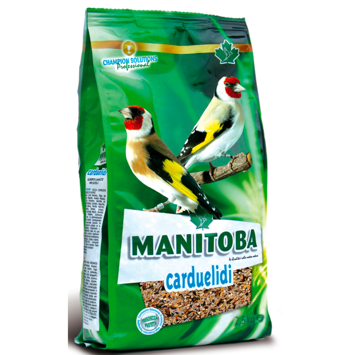 Manitoba Carduelidi