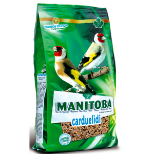 Manitoba Carduelidi